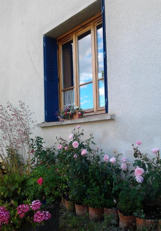 Bed and Breakfast L'Orme-Vial Saint-Galmier Zewnętrze zdjęcie